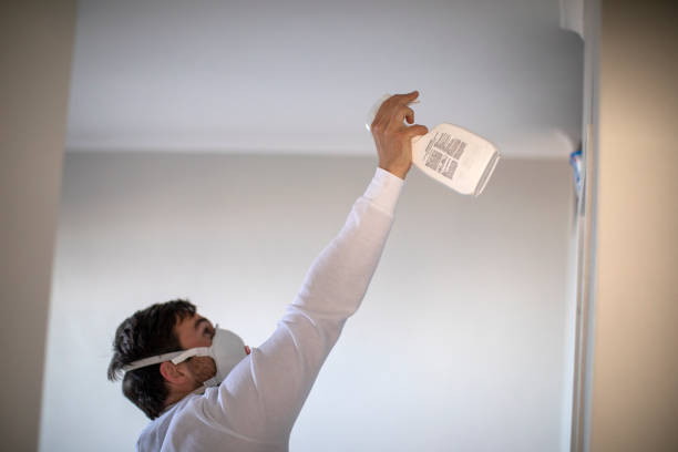 Best Emergency Mold Remediation in Sudan, TX