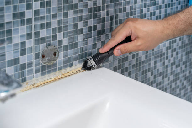 Best Post-Flood Mold Remediation in Sudan, TX